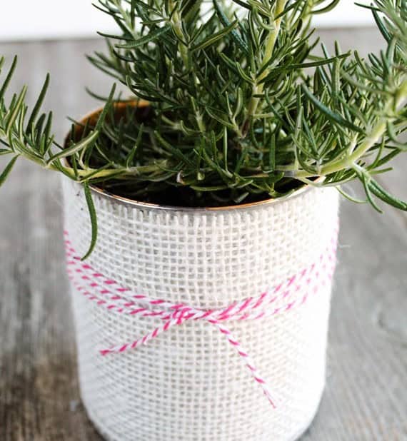 Giftable Planter