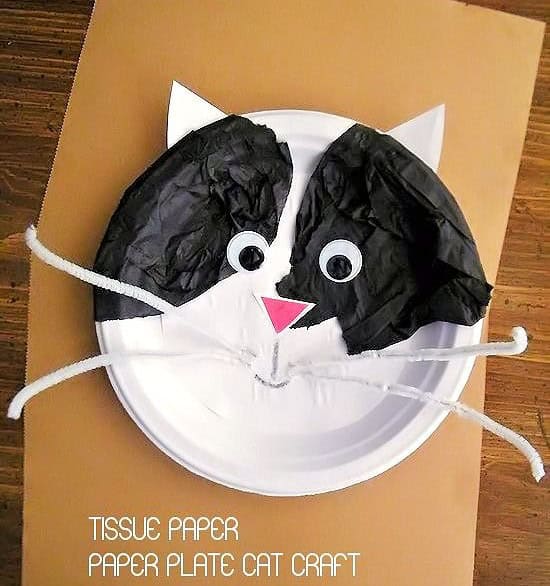 Tissue Paper Plate Cat