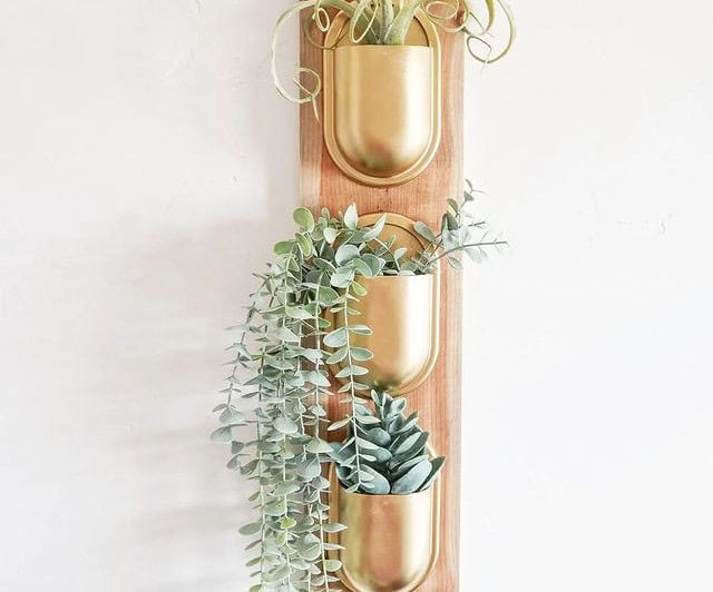 DIY Wall Succulent Planters