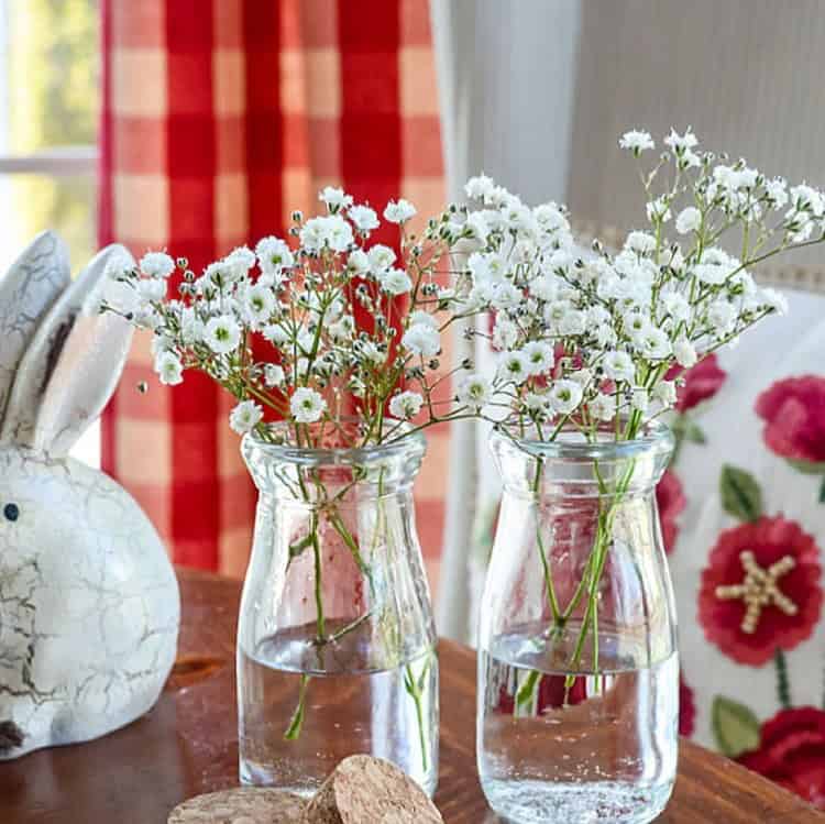 Simple Glass Vases