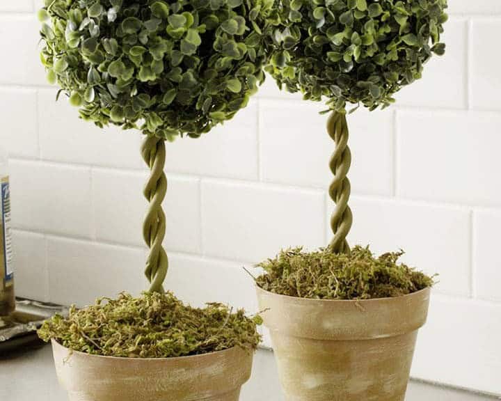 DIY Topiary Tree and Planter Set