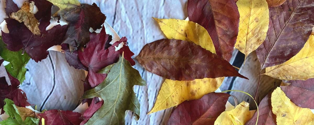 Fall Wreath