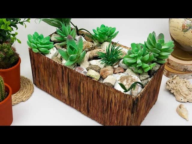 Watch: DIY Boho Succulent