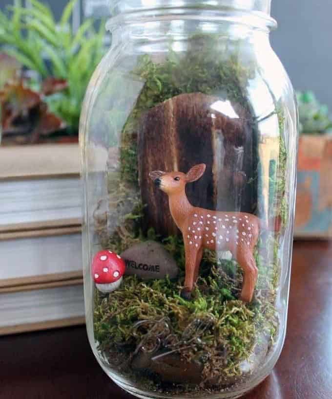 Terrarium