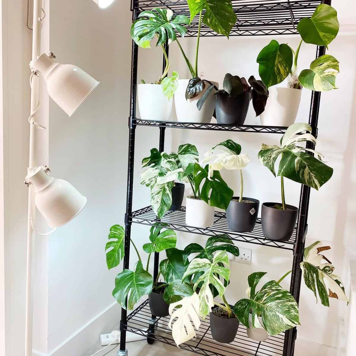 Industrial Shelf Hack