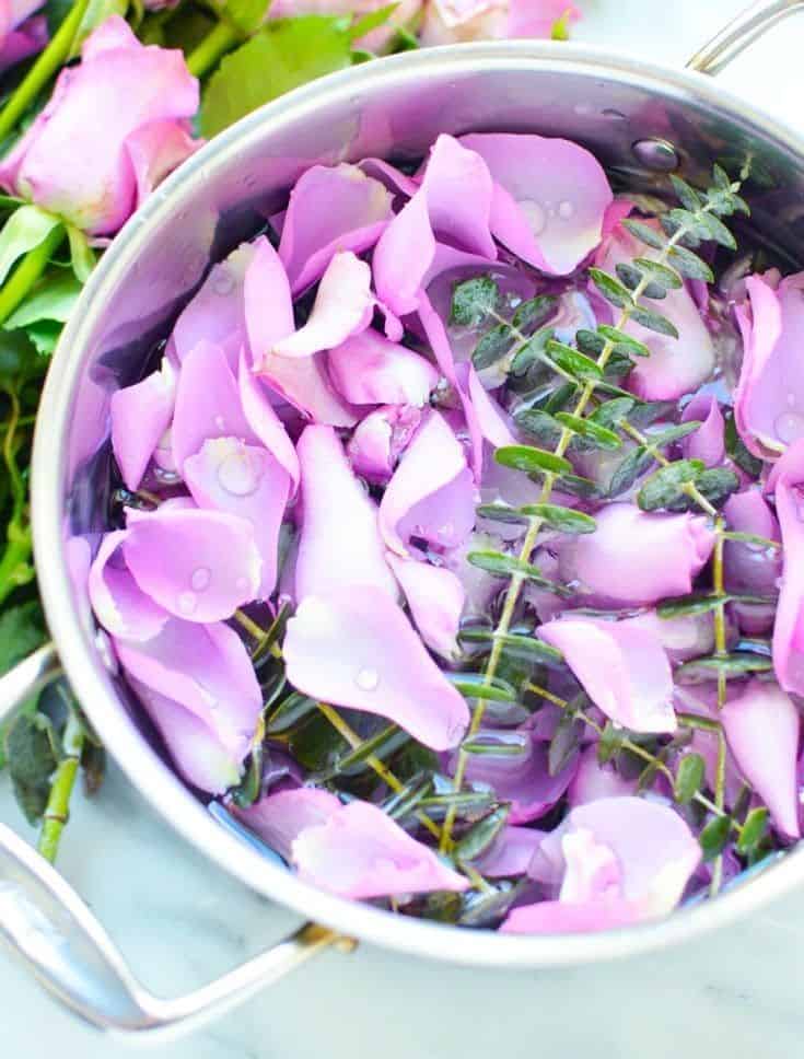 ROSE EUCALYPTUS SIMMER POT RECIPE