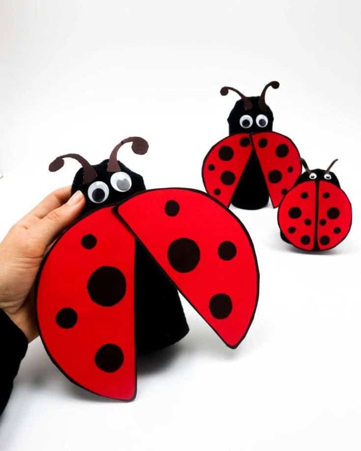 Ladybug Craft