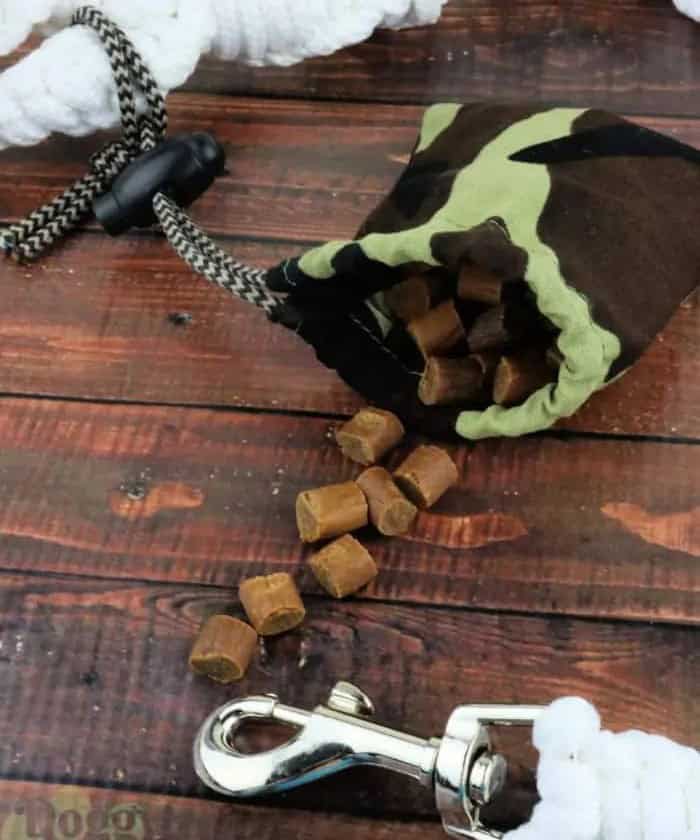 Dog Treat Pouch