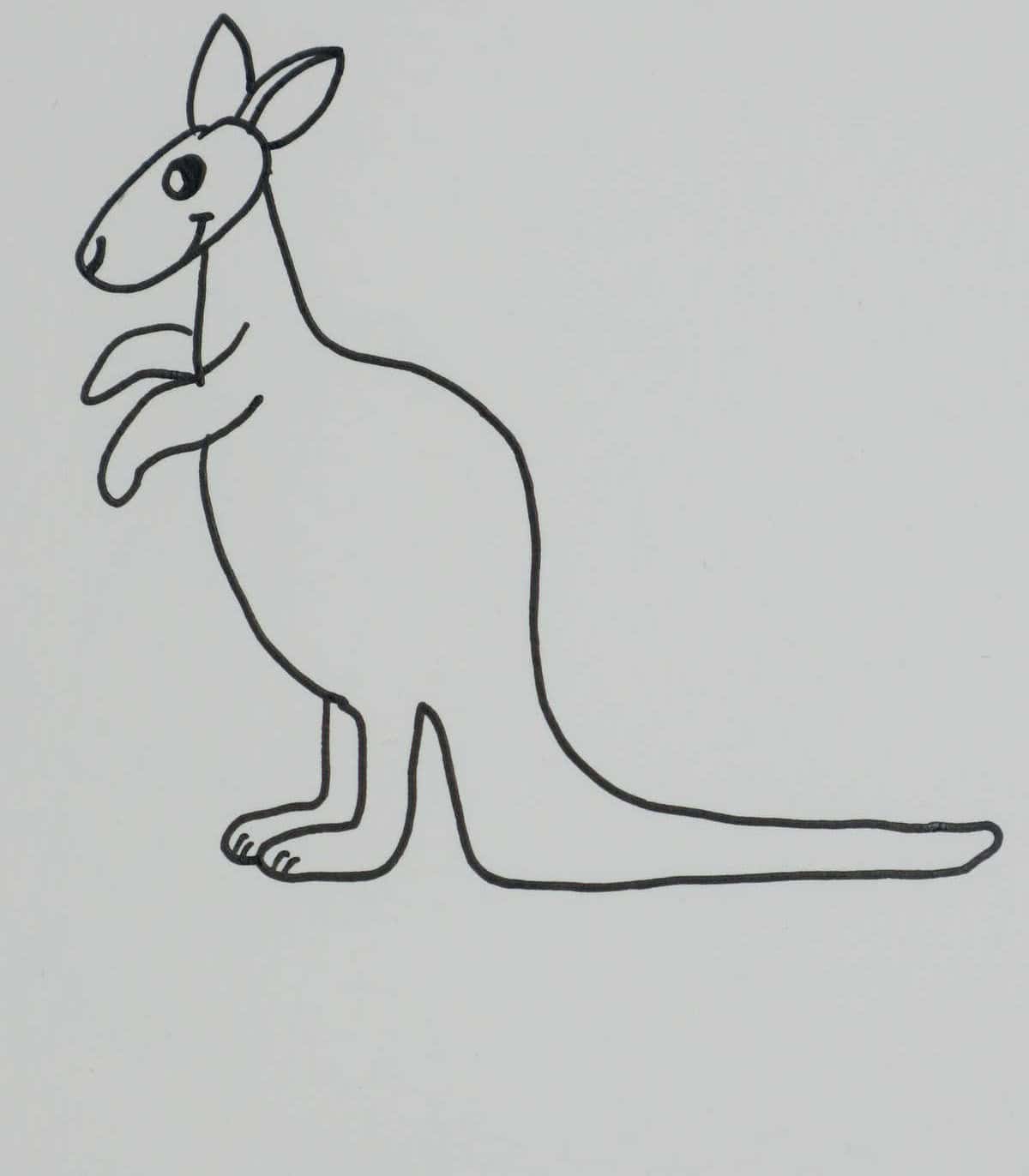 Kangaroo