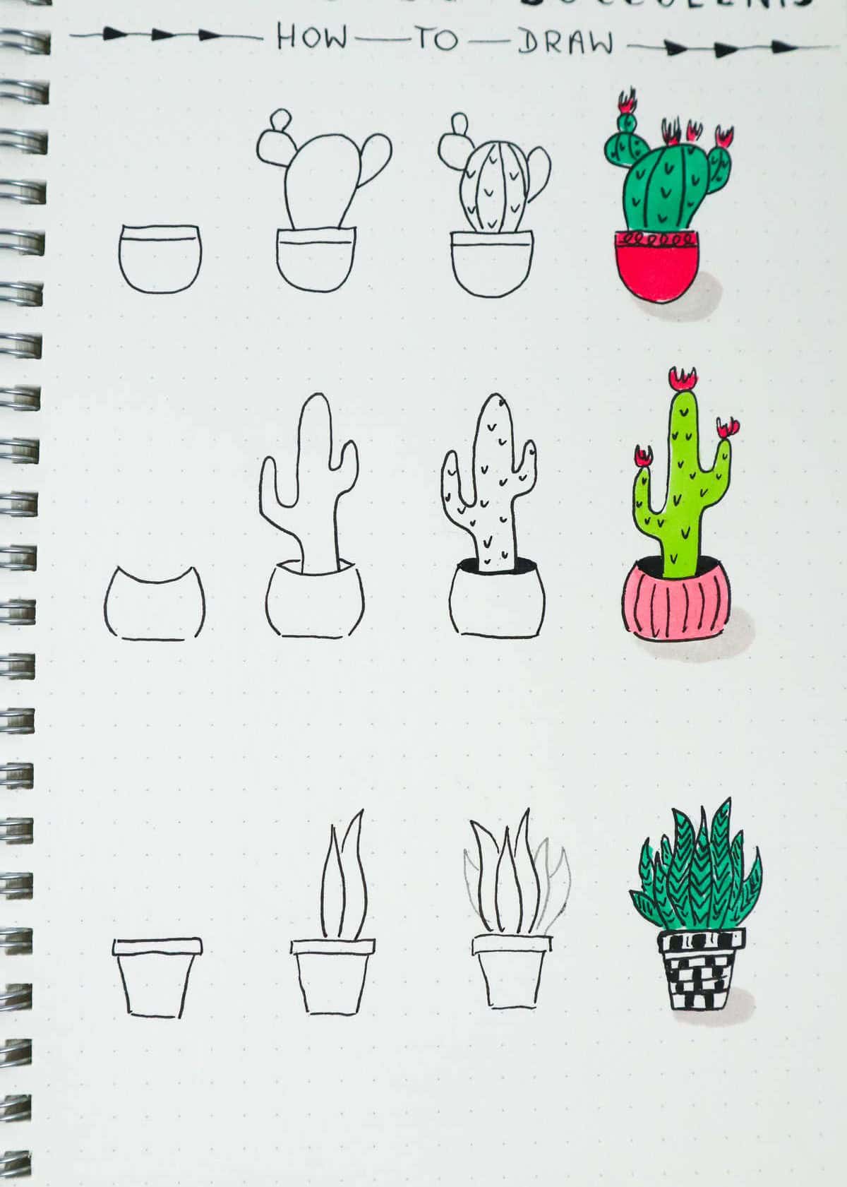 Cactus and Succulents Doodle #2