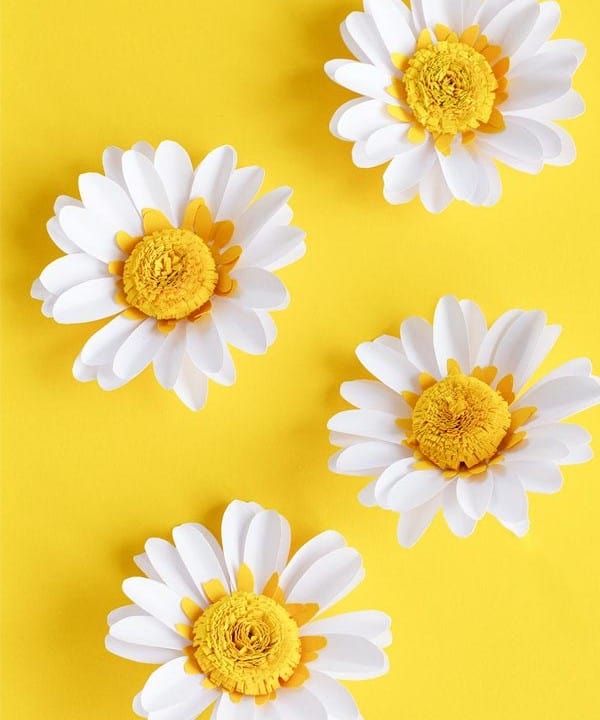 Gorgeous Paper Daisies