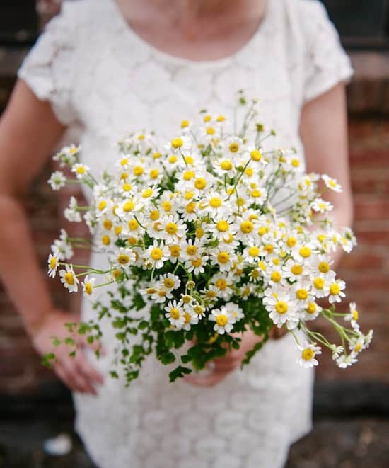 Minimal One-Flower Bouquet