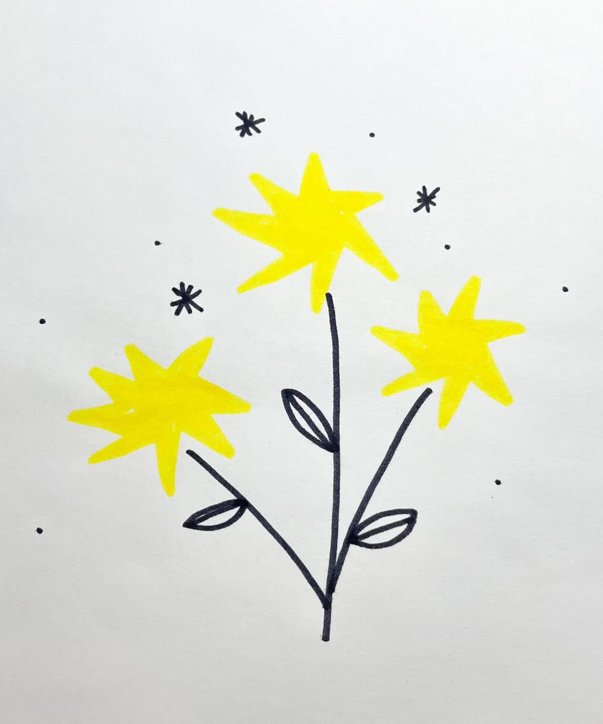 Dandelion Stars