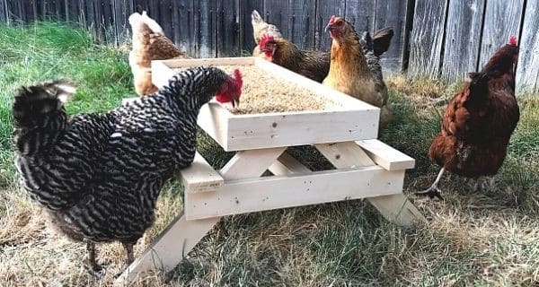 DIY Chicknic Table