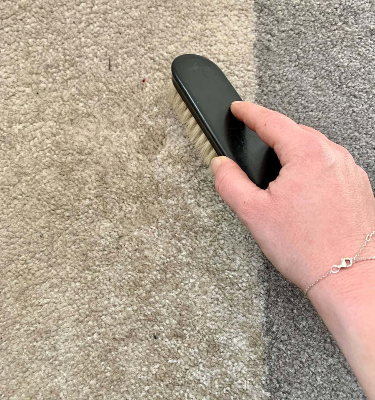 Remove Stains from Carpets with Ease