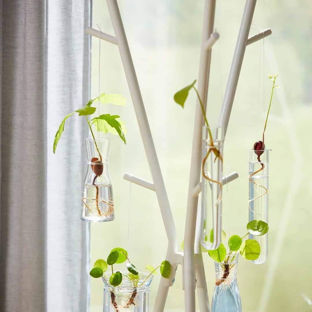 Coat Stand Hanging Garden