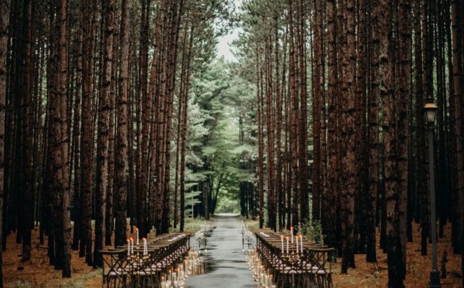 Woodland Wedding Ceremony