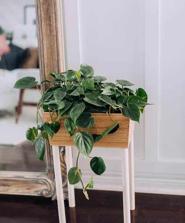 Bamboo IKEA Planter