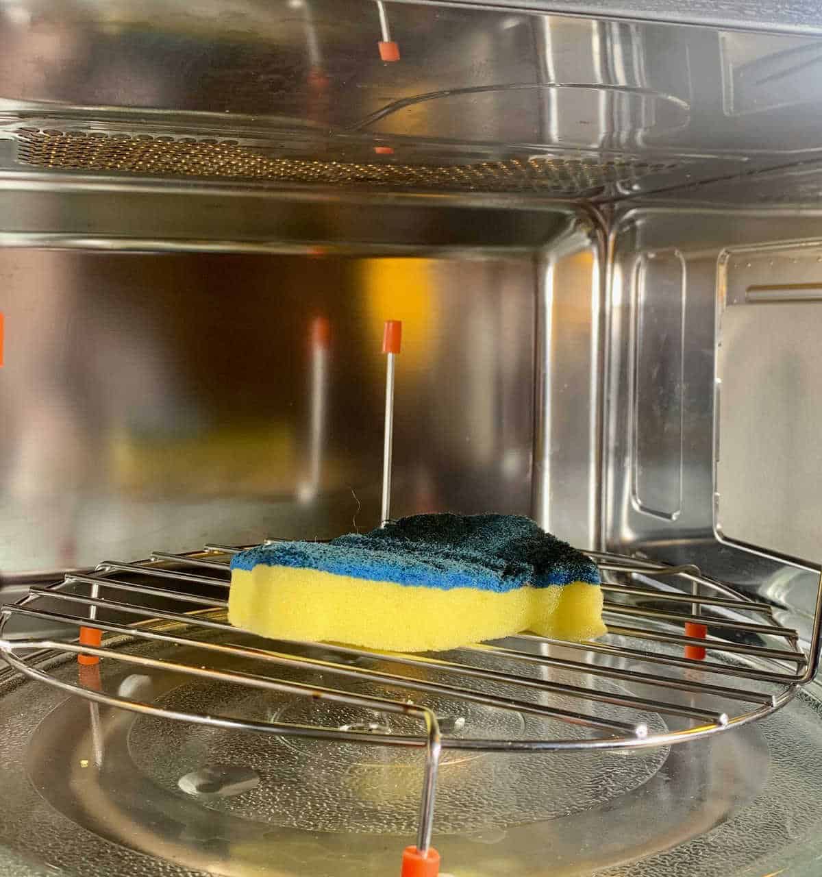 Disinfect Sponges in the Microwave