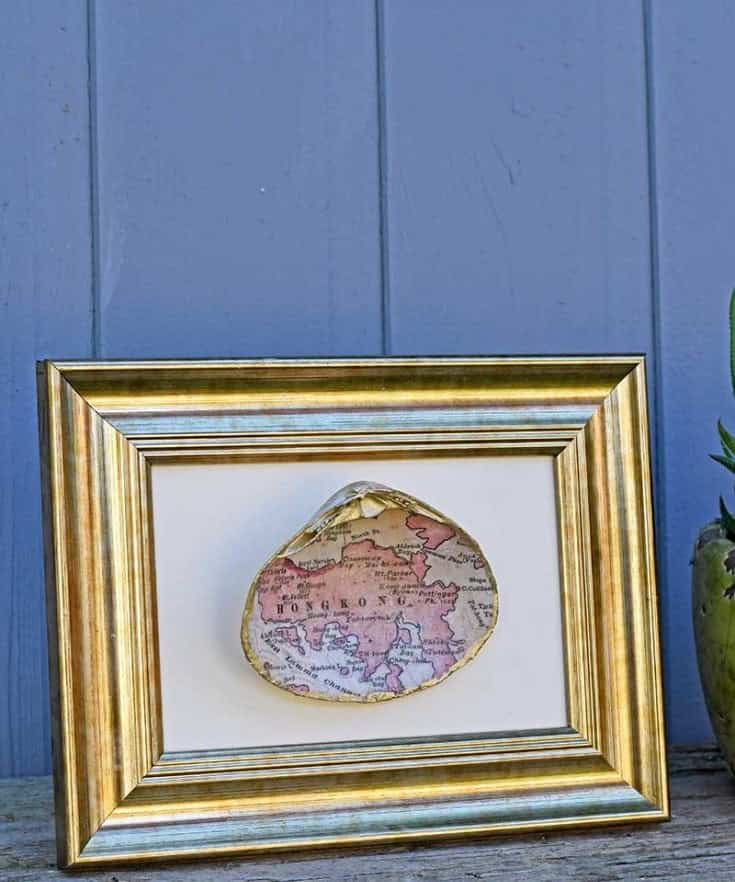 Map Seashell Gift