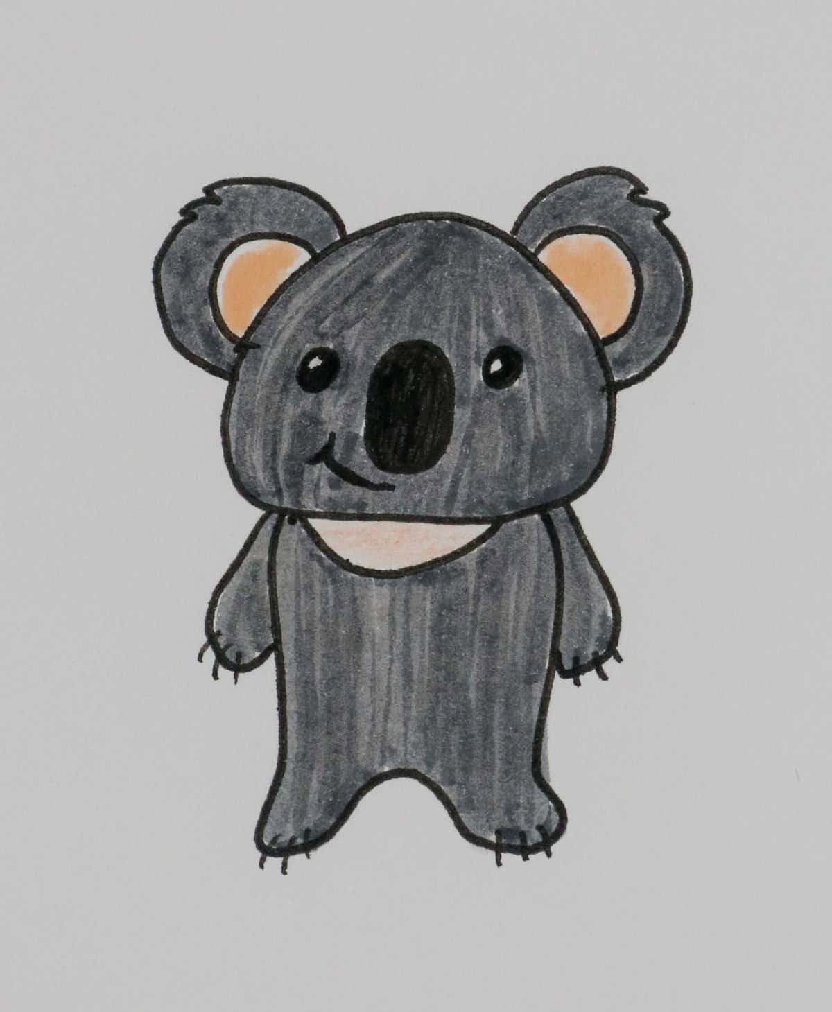 Koala