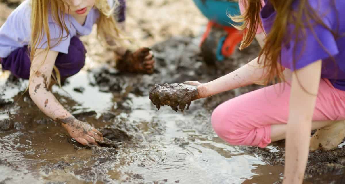 Mud Pies