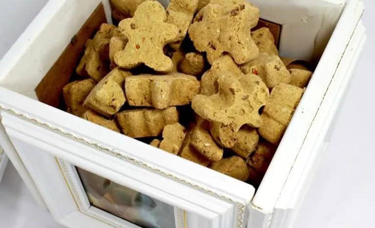 Dog Treat Photo Cube