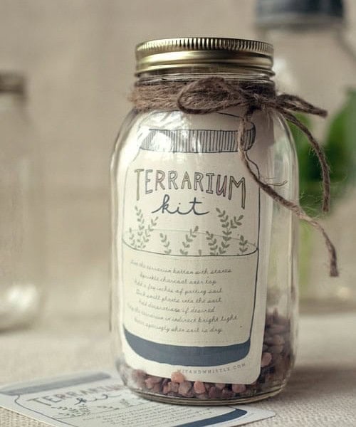 A DIY Terrarium Kit