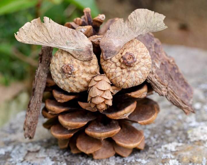 Rustic Pinecone Owl