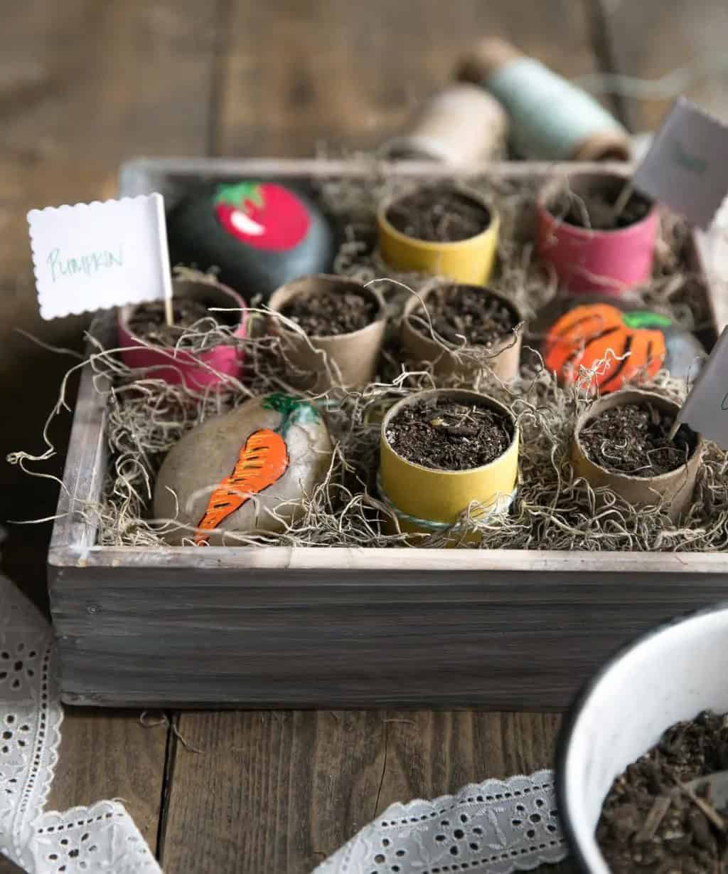 Toilet Paper Seedling Pots