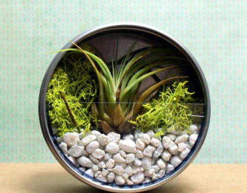 DIY Terrarium Magnets