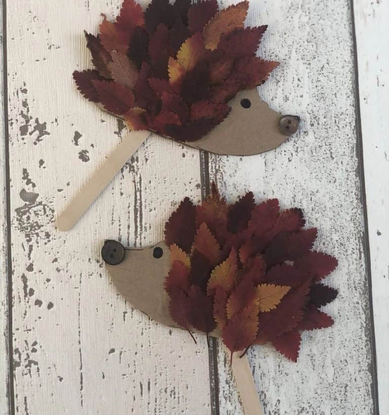 Hedgehog Craft