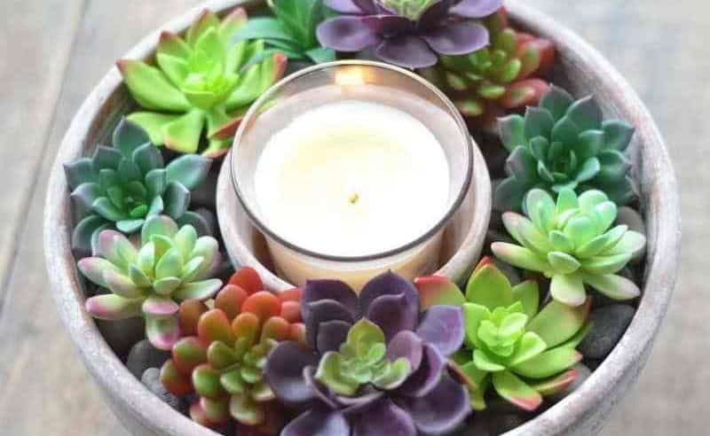 Succulents and Candle Centerpiece