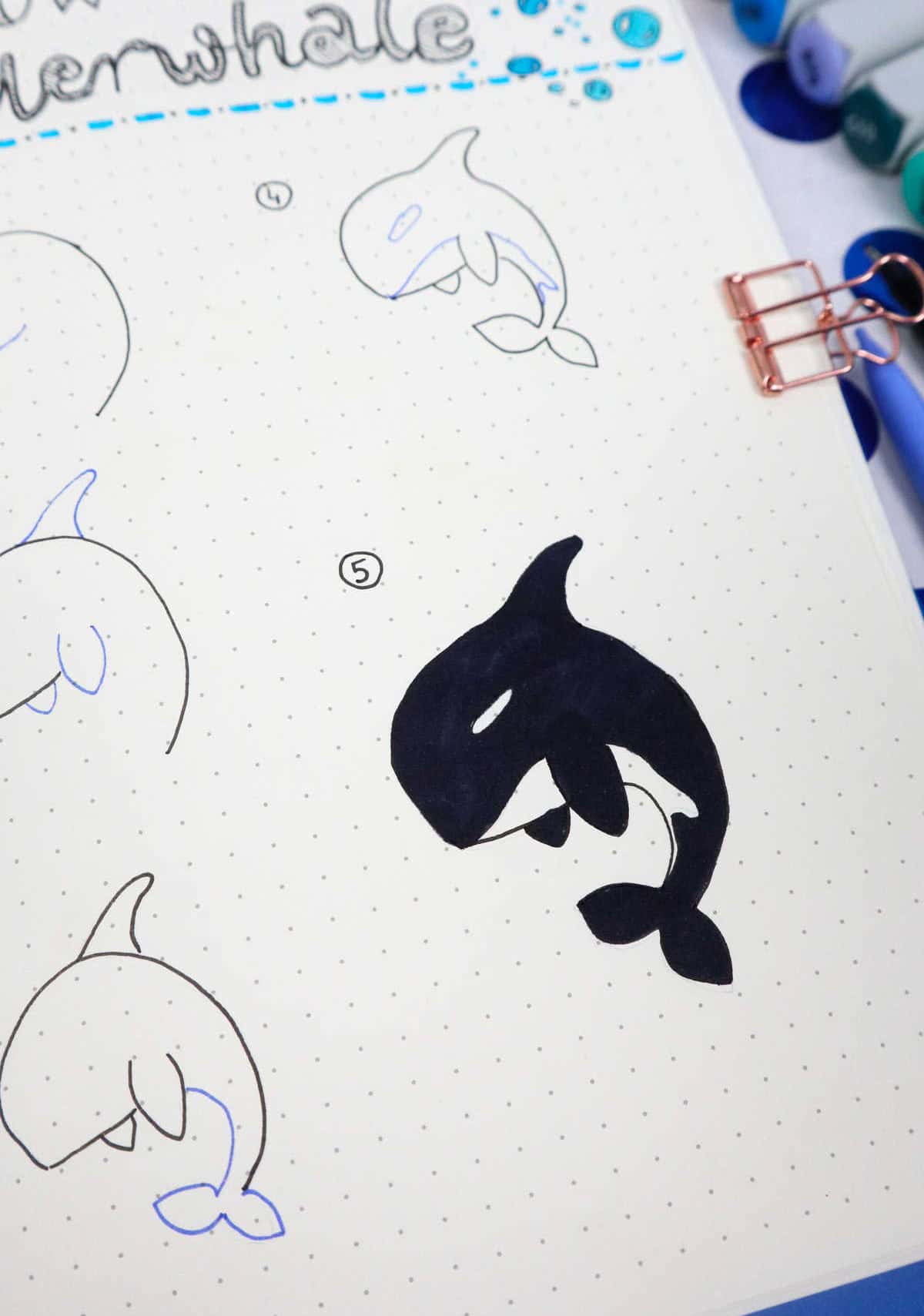 Killer Whale Step-by-Step