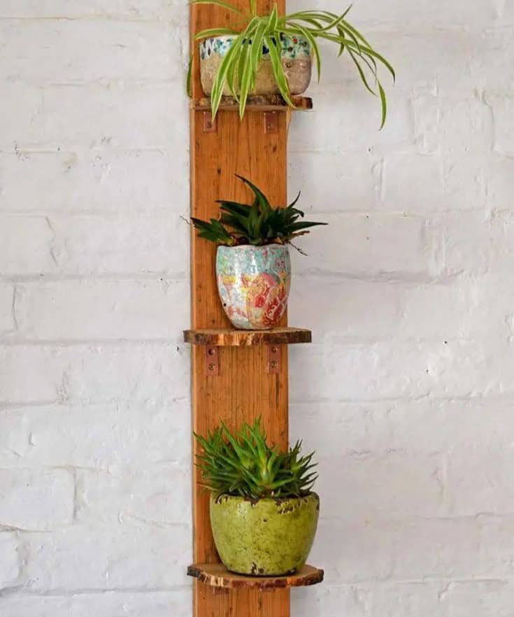 Plant Shelves