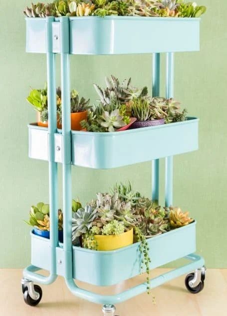 DIY Succulent Cart