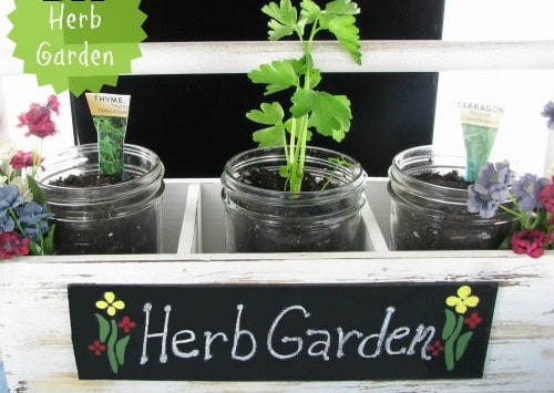 DIY Herb Garden Mason Jars