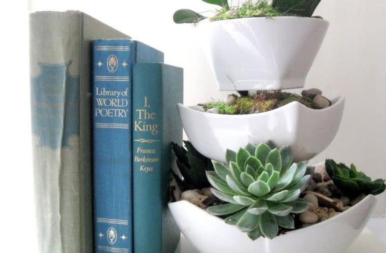 Layered Ceramic Succulent Display Bowls