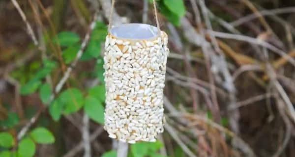 DIY Bird Feeder