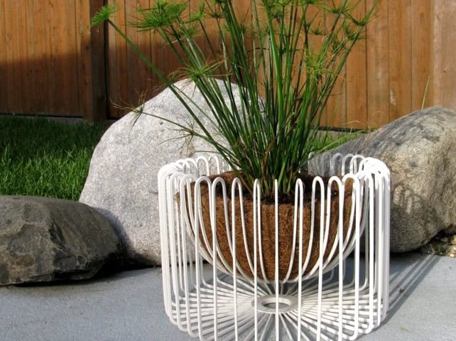 Tradig Planter