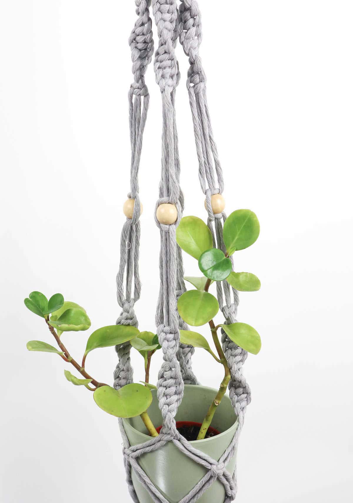 How to Use This Macrame Plant Hanger?