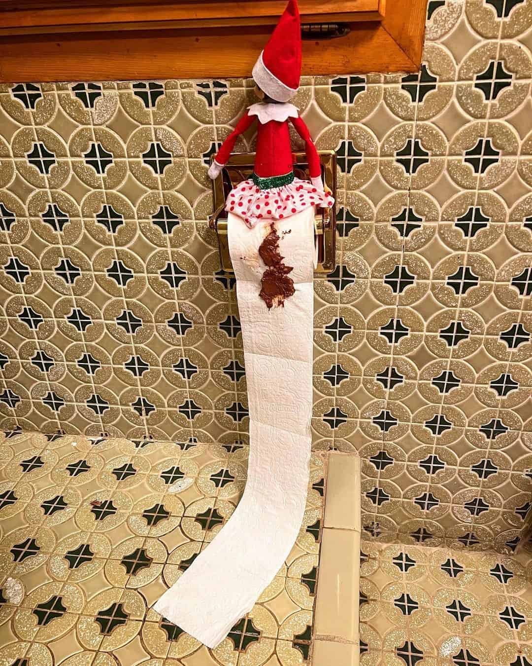 ELFIE POOPED ON THE TOILET PAPER