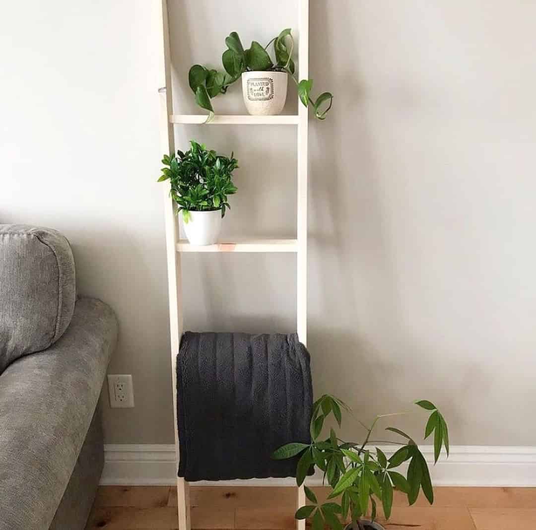 Plant & Blanket Ladder