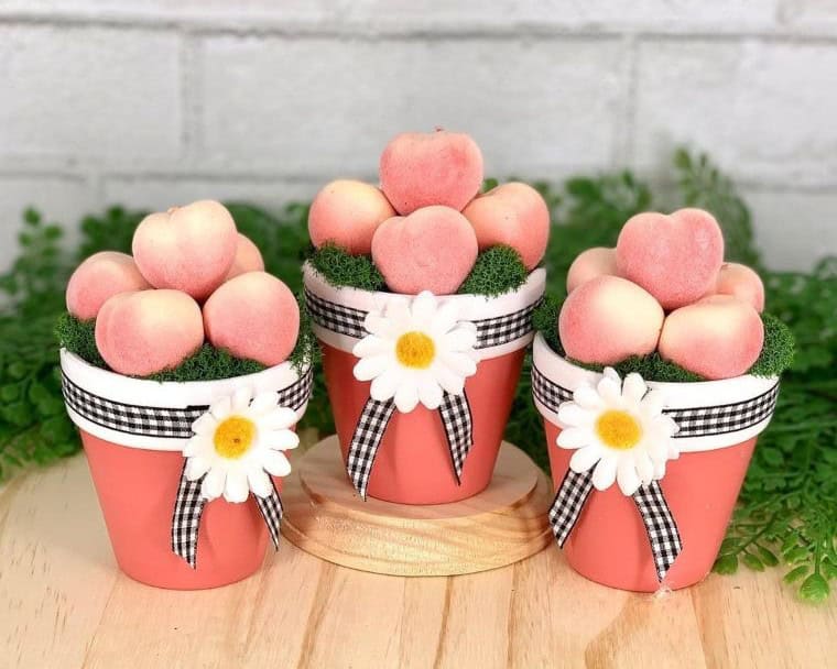 Pretty in Peach Pots