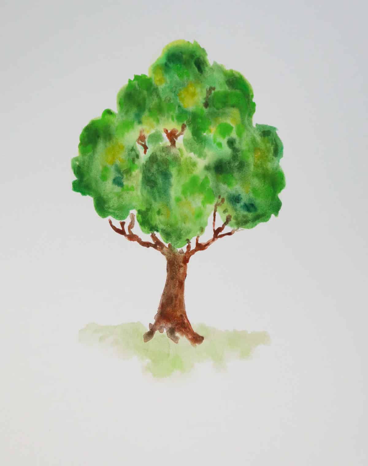 Watercolor Classic Tree