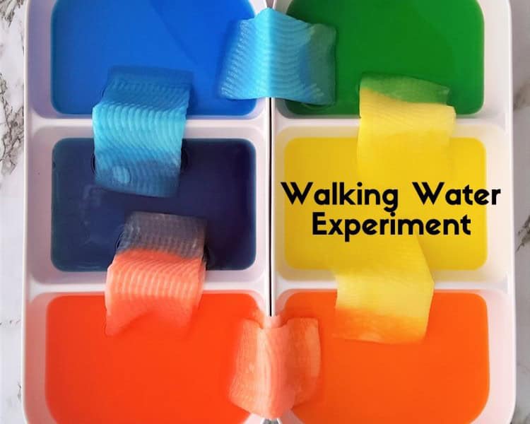 Walking Water