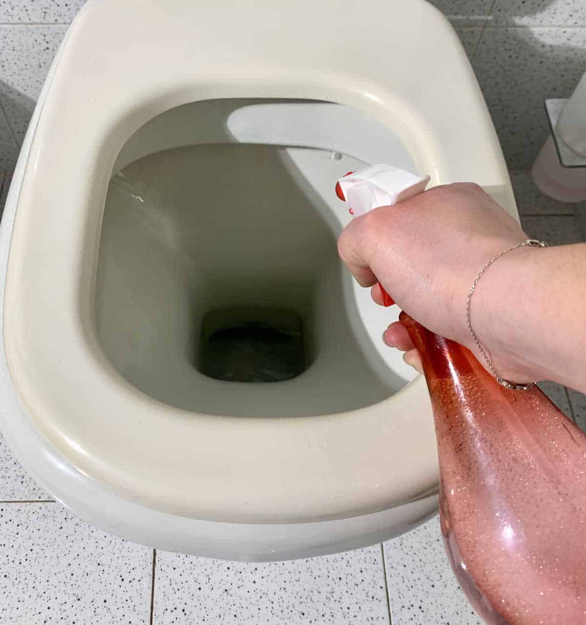 Simple Toilet Stain Removal Trick