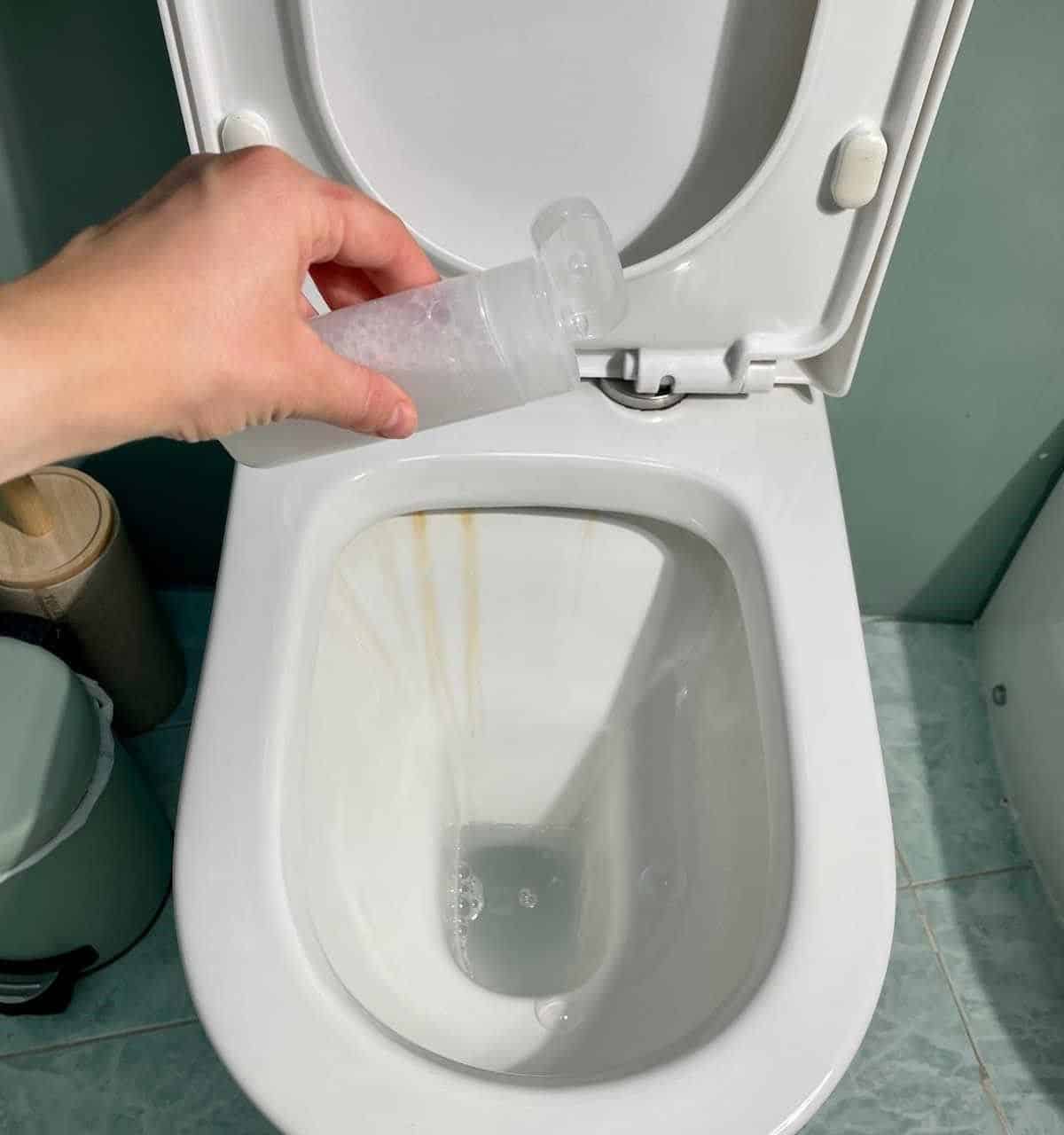 Clean Your Toilet