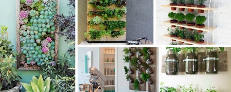 Vertical Garden