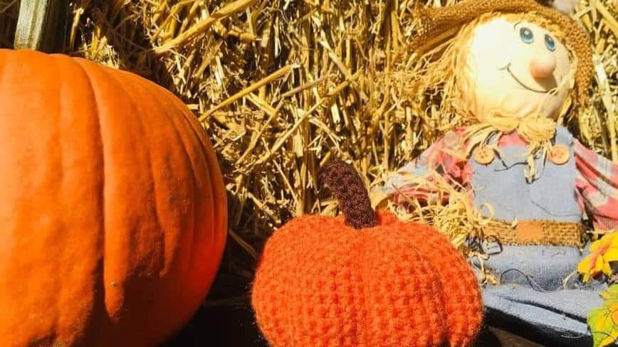 Crochet Pumpkins